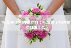 拆苹果手机的螺丝刀（拆苹果手机的螺丝刀叫什么）