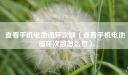 查看手机电池循环次数（查看手机电池循环次数怎么查）