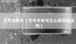 空号手机号（空号手机号怎么收到验证码）