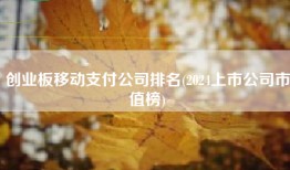 创业板移动支付公司排名(2024上市公司市值榜)