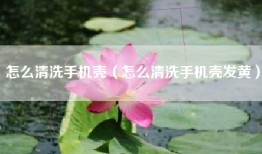 怎么清洗手机壳（怎么清洗手机壳发黄）