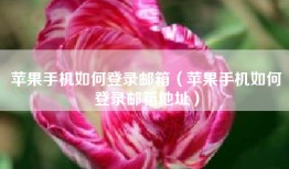 苹果手机如何登录邮箱（苹果手机如何登录邮箱地址）