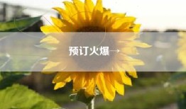 预订火爆→