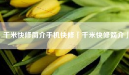 千米快修简介手机快修「千米快修简介」