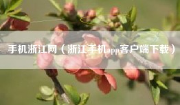 手机浙江网（浙江手机app客户端下载）