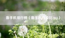 鲁手机排行榜（鲁手机性价比2021）