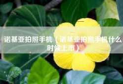 诺基亚拍照手机（诺基亚拍照手机什么时候上市）