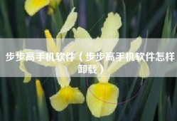 步步高手机软件（步步高手机软件怎样卸载）