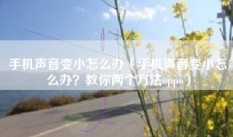 手机声音变小怎么办（手机声音变小怎么办？教你两个方法oppo）