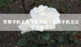 苹果手机无法下载微信（苹果手机无法安装微信）