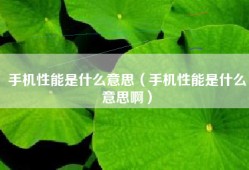 手机性能是什么意思（手机性能是什么意思啊）