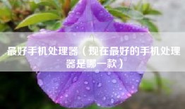 最好手机处理器（现在最好的手机处理器是哪一款）