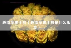 越南苹果手机（越南苹果手机是什么版本）