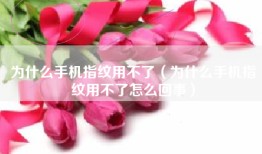 为什么手机指纹用不了（为什么手机指纹用不了怎么回事）