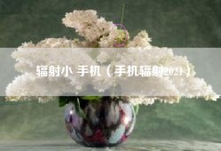 辐射小 手机（手机辐射2021）