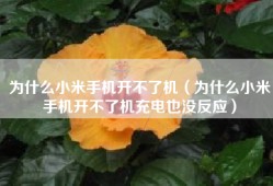 为什么小米手机开不了机（为什么小米手机开不了机充电也没反应）