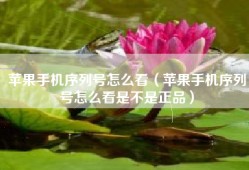 苹果手机序列号怎么看（苹果手机序列号怎么看是不是正品）