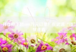 开年抢下超6000万元订单！在武清“镁”梦成真