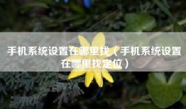 手机系统设置在哪里找（手机系统设置在哪里找定位）