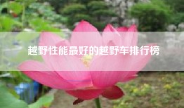 越野性能最好的越野车排行榜