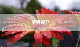 手机秘书