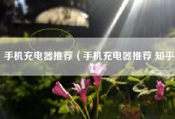 手机充电器推荐（手机充电器推荐 知乎）