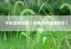 手机音频加速（手机音频加速软件）