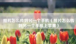 照片怎么传到另一个手机（照片怎么传到另一个手机上苹果）