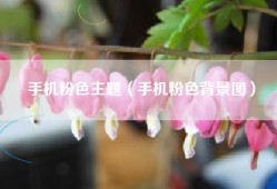 手机粉色主题（手机粉色背景图）