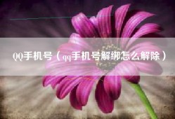 QQ手机号（qq手机号解绑怎么解除）
