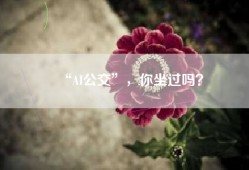 “AI公交”，你坐过吗？