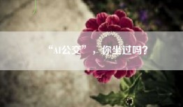 “AI公交”，你坐过吗？