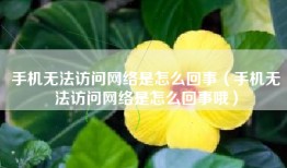 手机无法访问网络是怎么回事（手机无法访问网络是怎么回事哦）