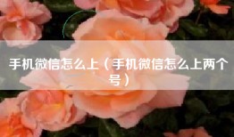 手机微信怎么上（手机微信怎么上两个号）