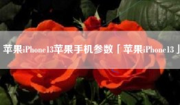 苹果iPhone13苹果手机参数「苹果iPhone13」