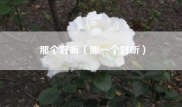 那个好听（哪一个好听）