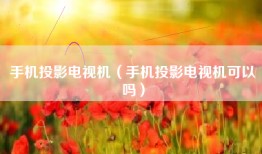 手机投影电视机（手机投影电视机可以吗）