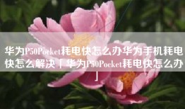 华为P50Pocket耗电快怎么办华为手机耗电快怎么解决「华为P50Pocket耗电快怎么办」