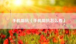手机阻抗（手机阻抗怎么看）