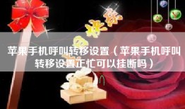 苹果手机呼叫转移设置（苹果手机呼叫转移设置正忙可以挂断吗）