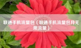 联通手机流量包（联通手机流量包月无限流量）