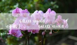 ����GALAXY S8(64GB／ȫ��ͨ)����s8手机「����GALAXY S8(64GB／ȫ��ͨ)����」