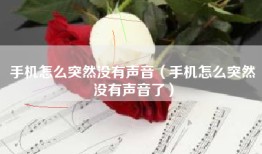 手机怎么突然没有声音（手机怎么突然没有声音了）