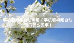 手机看视频自动黑屏（手机看视频自动黑屏怎么回事）