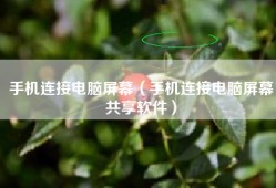手机连接电脑屏幕（手机连接电脑屏幕共享软件）