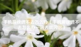 手机游戏进不去怎么办（手机游戏进不去怎么办一进去就闪退）