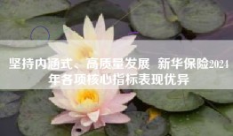 坚持内涵式、高质量发展  新华保险2024年各项核心指标表现优异