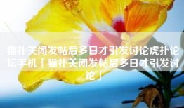 猫扑关闭发帖后多日才引发讨论虎扑论坛手机「猫扑关闭发帖后多日才引发讨论」