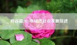 府谷县2024年经济社会发展综述