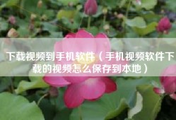 下载视频到手机软件（手机视频软件下载的视频怎么保存到本地）